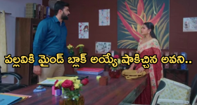 Intinti Ramayanam Today Episode: ఆరాధ్యను కాపాడిన అవని.. అక్షయ్, అవని ల మధ్య పల్లవి చిచ్చు..