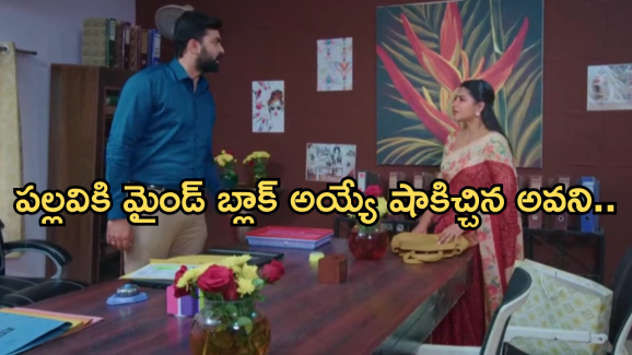 Intinti Ramayanam Today Episode: ఆరాధ్యను కాపాడిన అవని.. అక్షయ్, అవని ల మధ్య పల్లవి చిచ్చు..