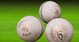 White Ball: వన్డే, T20 మ్యాచ్ లకు వాడే బాల్ ధర ఎంతో తెలుసా....ఫ్యూజులు ఎగిరిపోవాల్సిందే