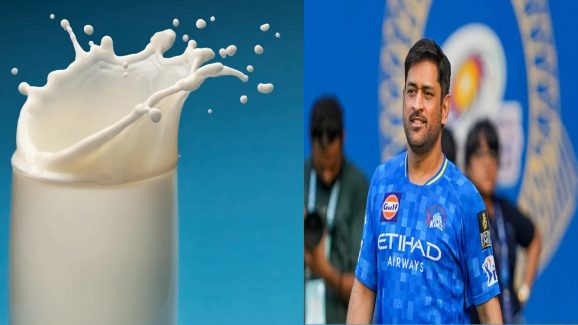 MS Dhoni : ధోనీ రోజుకు 5 లీటర్ల పాలు తాగుతారా… ఒక్క లీటర్ ధర ఎంతంటే ?