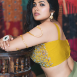 Divi Vadthya : ట్రెడిషినల్ లుక్ లో అందాలతో మత్తెక్కిస్తున్న దివి.. మాములు అరాచకం కాదు…