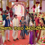 Illu Illalu Pillalu Today Episode: చందుని కాపాడిన ధీరజ్, ప్రేమ.. మండపంలో రామారాజుకు నిజం చెప్పిన చందు..