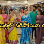 Illu Illalu Pillalu Today Episode: శ్రీవల్లికి డబ్బులిచ్చిన చందు.. భాగ్యం కు చుక్కలు చూపించిన కోడళ్ళు..