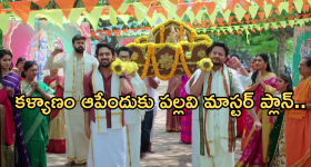 Aarti Gupta : ఎస్ కే ఎన్ మాటలతో దెబ్బకు తెలుగు నేర్చుకుంటున్న ముంబై నటి
