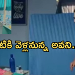 Intinti Ramayanam Today Episode: రాజేంద్ర ప్రసాద్ కు నిజం తెలిసిపోతుందా..? పల్లవికి బొమ్మ కనిపించేలా చేసిన కమల్..