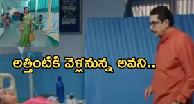 Intinti Ramayanam Today Episode: రాజేంద్ర ప్రసాద్ కు నిజం తెలిసిపోతుందా..? పల్లవికి బొమ్మ కనిపించేలా చేసిన కమల్..
