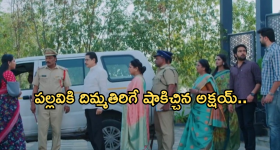 Intinti Ramayanam Today Episode: అవనిని టార్గెట్ చేసిన పల్లవి.. రాజేంద్రప్రసాద్ ను అరెస్ట్ చేసిన పోలీసులు..