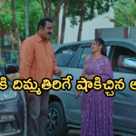 Intinti Ramayanam Today Episode: భరత్ ను చంపేందుకు చక్రధర్ స్కెచ్.. పల్లవిని అడ్డంగా బుక్ చేసిన అవని..