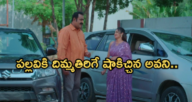 Intinti Ramayanam Today Episode: భరత్ ను చంపేందుకు చక్రధర్ స్కెచ్.. పల్లవిని అడ్డంగా బుక్ చేసిన అవని..