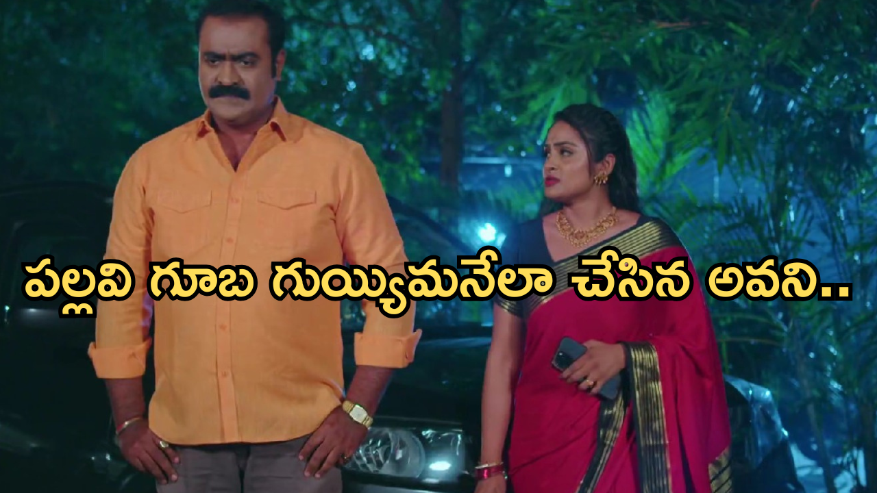 Intinti Ramayanam Today Episode: పల్లవికి దిమ్మతిరిగే ఝలక్ ఇచ్చిన అవని.. అవనికి చెక్ పెట్టబోతున్న చక్రధర్..