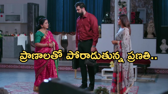 Intinti Ramayanam Today Episode: అక్షయ్, అవనిల మధ్య పల్లవి చిచ్చు.. ఇంట్లోంచి వెళ్ళిపోయిన ప్రణతి..