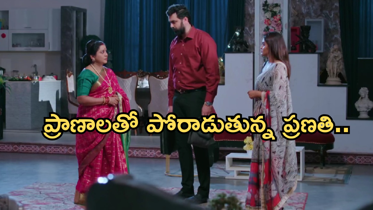 Intinti Ramayanam Today Episode: అక్షయ్, అవనిల మధ్య పల్లవి చిచ్చు.. ఇంట్లోంచి వెళ్ళిపోయిన ప్రణతి..