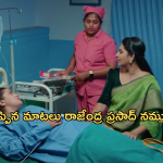 Intinti Ramayanam Today Episode: అవనిని    ఘోరంగా అవమానించిన పార్వతి.. ప్రణతికి అభార్షన్..