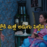 Intinti Ramayanam Today Episode: అవని పై అక్షయ్ కోపం తగ్గిందా..? ప్రణతి మనసును అర్థం చేసుకున్న అక్షయ్..