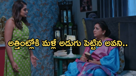 Intinti Ramayanam Today Episode: అవని పై అక్షయ్ కోపం తగ్గిందా..? ప్రణతి మనసును అర్థం చేసుకున్న అక్షయ్..