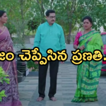 Intinti Ramayanam Today Episode: నిజం చెప్పలేని పరిస్థితిలో అవని.. ప్రణతి షాకింగ్ నిర్ణయం..?