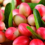 Karonda Fruit Benefits: వాక్కాయాలోని ఔషద గుణాలు తెలిస్తే.. అస్సలు వదిలిపెట్టరు..