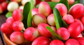 Karonda Fruit Benefits: వాక్కాయాలోని ఔషద గుణాలు తెలిస్తే.. అస్సలు వదిలిపెట్టరు..