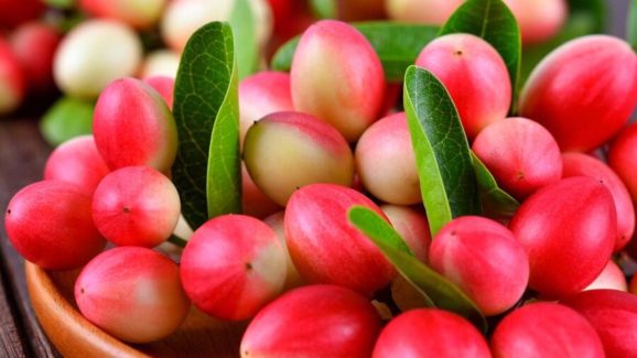 Karonda Fruit Benefits: వాక్కాయాలోని ఔషద గుణాలు తెలిస్తే.. అస్సలు వదిలిపెట్టరు..