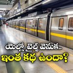 Yellow Lines Metro station: మెట్రో స్టేషన్లలో పసుపు టైల్స్.. ఎందుకో తెలుసా?