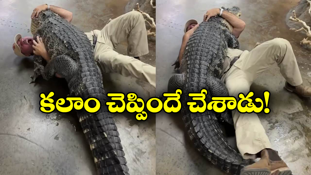 Viral Video: మొసలితో ఆటలా? ఏం చేసిందో చూడండి.. నీ కల తగలెయ్య!