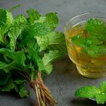 Mint leaves uses: ఈ ఆకును రోజూ తీసుకుంటే.. మీ ఆరోగ్యానికి తిరుగుండదు