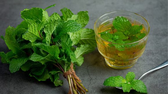 Mint leaves uses: ఈ ఆకును రోజూ తీసుకుంటే.. మీ ఆరోగ్యానికి తిరుగుండదు
