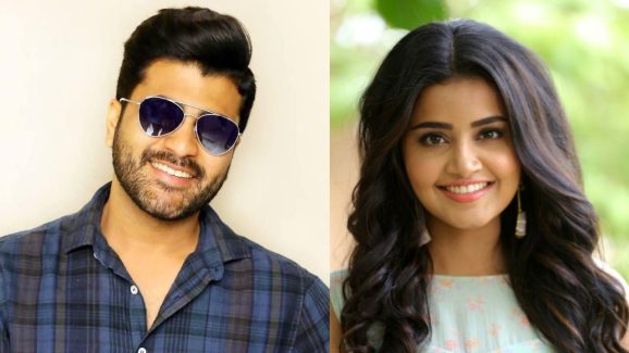 Sharwanand: సంక్రాంతి ఫార్ములాతో శర్వానంద్..  పక్కా షూర్ షాట్ గురు