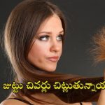 Hair Split Ends: జుట్టు చివర్లు చిట్లుతున్నాయా ? వీటితో ప్రాబ్లమ్ సాల్వ్