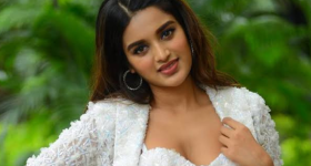 Nidhi Agarwal: నెటిజన్స్ కు దిమ్మతిరిగే కౌంటర్.. నిధిలో ఈ యాంగిల్ కూడా ఉందా..?