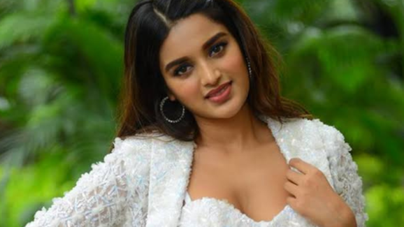 Nidhi Agarwal: నెటిజన్స్ కు దిమ్మతిరిగే కౌంటర్.. నిధిలో ఈ యాంగిల్ కూడా ఉందా..?