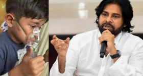 Pawan Kalyan : మార్క్ శంకర్ పై బూతు ట్రోల్స్... అల్లు అర్జున్ ఫ్యాన్ అరెస్ట్..