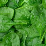 Summer Food: హలో.. మీకు తెలుసా? వేసవిలో తప్పకుండా తినాల్సిన ఆకు కూర ఇదే