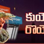 Trump Tariffs: ఏపీ రైతుల పై ట్రంప్ టాక్స్.? కేంద్రం ఏం చేయబోతోంది