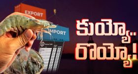 Sugar: చక్కెర తినడం తగ్గించినా.. పూర్తిగా మానేసినా శరీరంపై ఎలాంటి ప్రభావం ఉంటుంది ?