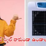 Cooler Bad Smell: కూలర్ నుంచి బ్యాడ్ స్మిల్ వస్తోందా ? ఇలా చేస్తే.. ప్రాబ్లమ్ సాల్వ్