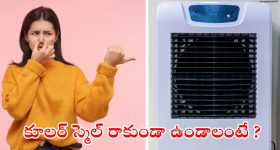 Cooler Bad Smell: కూలర్ నుంచి బ్యాడ్ స్మిల్ వస్తోందా ? ఇలా చేస్తే.. ప్రాబ్లమ్ సాల్వ్
