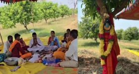 Viral News : మామిడి చెట్లకు పెళ్లి.. ఎందుకు చేశారో తెలిస్తే...