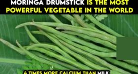 Viral News: సోషల్ మీడియాను షేక్ చేస్తున్న మునక్కాయ మీమ్స్ ! ఎందుకంటే భయ్యా..