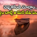 Male Pregnant: కక్కుర్తి పడి కడుపు తెచ్చుకొనే ఈ మగ జీవి గురించి మీకు తెలుసా?