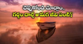 Male Pregnant: కక్కుర్తి పడి కడుపు తెచ్చుకొనే ఈ మగ జీవి గురించి మీకు తెలుసా?