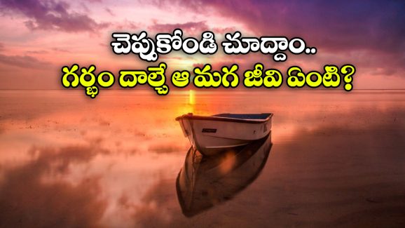 Male Pregnant: కక్కుర్తి పడి కడుపు తెచ్చుకొనే ఈ మగ జీవి గురించి మీకు తెలుసా?