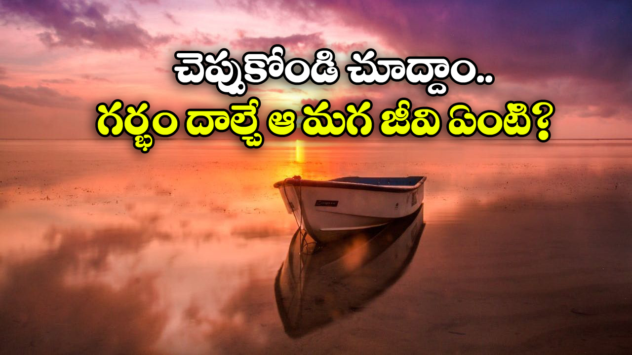 Male Pregnant: కక్కుర్తి పడి కడుపు తెచ్చుకొనే ఈ మగ జీవి గురించి మీకు తెలుసా?