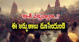 RCB vs PBKS: ఫైనల్స్ కు చేరిన RCB.. బట్టలు విప్పేసిన హాట్ బ్యూటీ ?