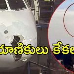 IndiGo flight: గాల్లో ప్రాణాలు.. వడగాళ్ల వానకు విమానం ముందు భాగం ధ్వంసం.. ఫ్లైట్‌లో ప్రముఖ నేతలు!
