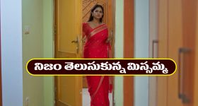 Hyderabad Metro: మళ్లీ హైదరాబాద్ మెట్రోలో సమస్య.. ఎక్కడికక్కడ మెట్రో స్టాప్.. ఆ తర్వాత?