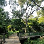 Hidden Garden: సిటీలో సీక్రెట్ గార్డెన్.. వన్ డే ట్రిప్ ప్లాన్ చేయండి మరి..!