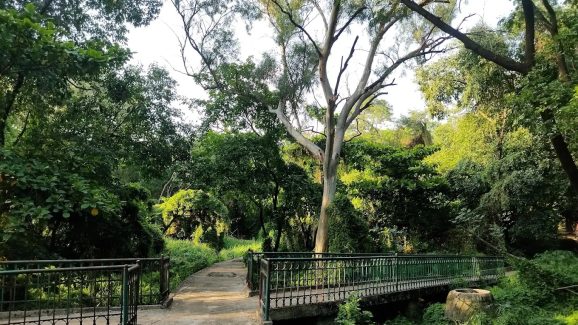 Hidden Garden: సిటీలో సీక్రెట్ గార్డెన్.. వన్ డే ట్రిప్ ప్లాన్ చేయండి మరి..!