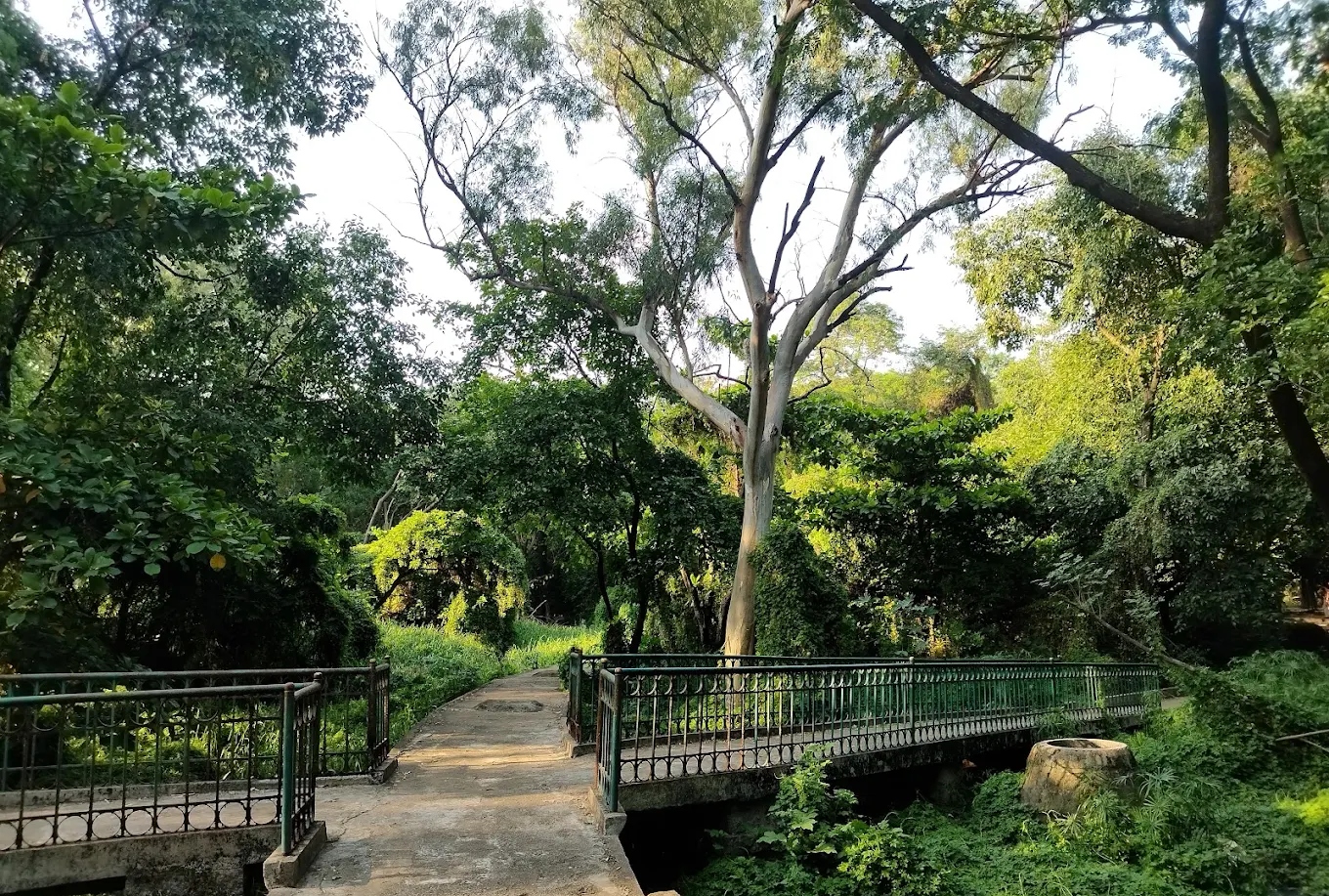 Hidden Garden: సిటీలో సీక్రెట్ గార్డెన్.. వన్ డే ట్రిప్ ప్లాన్ చేయండి మరి..!