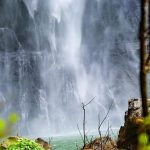 Mulugu: మంత్రి సీతక్క సొంత నియోజకవర్గం ఓ టూరిస్ట్ స్పాట్.. జీవవైవిధ్యానికి ప్రతీక